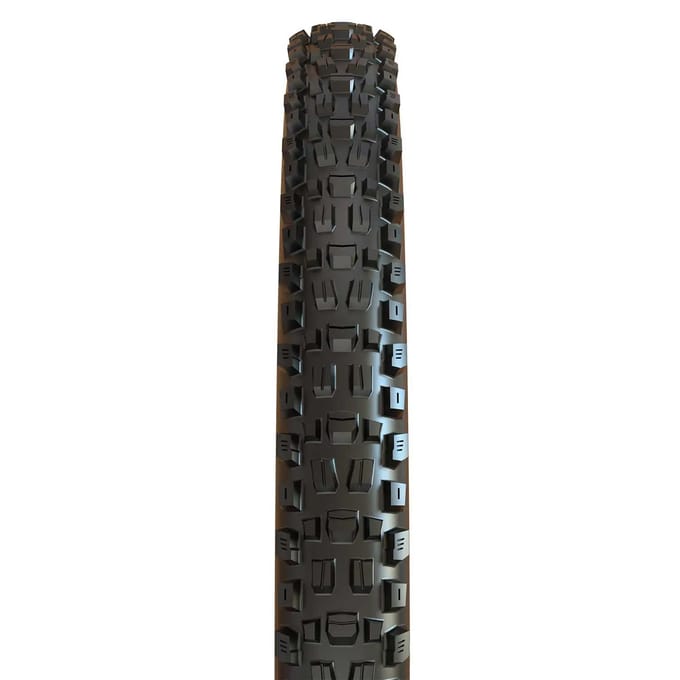 Zachte band Maxxis Assegai MaxxTerra / Exo + / Tubeless Ready 60 TPI