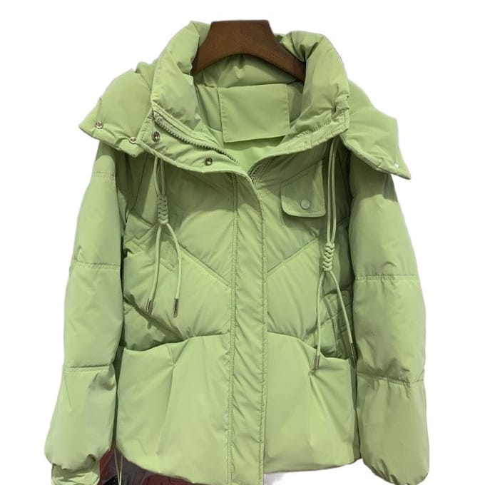 Nieuwe Witte Eendendons Leave-in Donsjas Dames Kort Warm Broodjack Verdikte Jas S