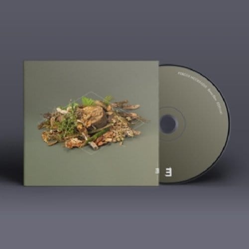 Forest Floor - Fergus Mccreadie