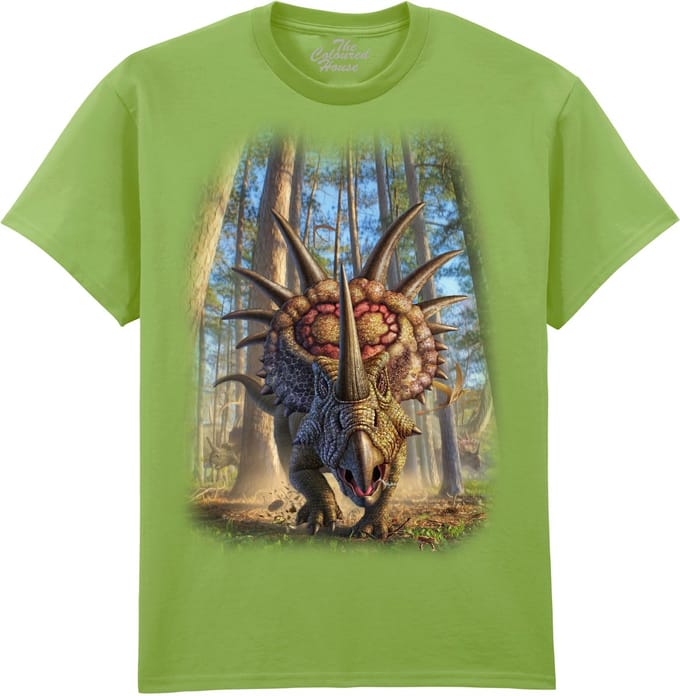 Dinosaurus Styracosaur The Coloured House T-shirt M