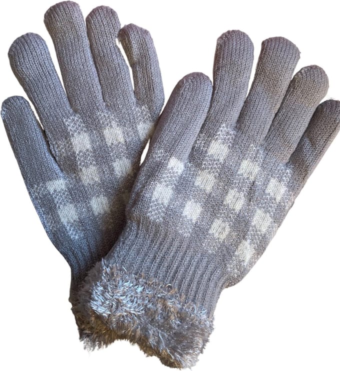 Stijlvolle Gevoerde Dames Handschoenen | One Size - Grijs
