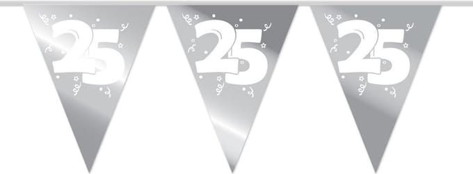 Slingers 25 Zilver 10m