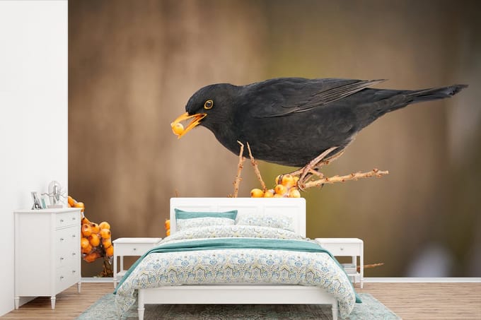 Behang - Fotobehang Vogel - Merel - Winter - IJs - Bes - Breedte 330 cm x hoogte 220 cm