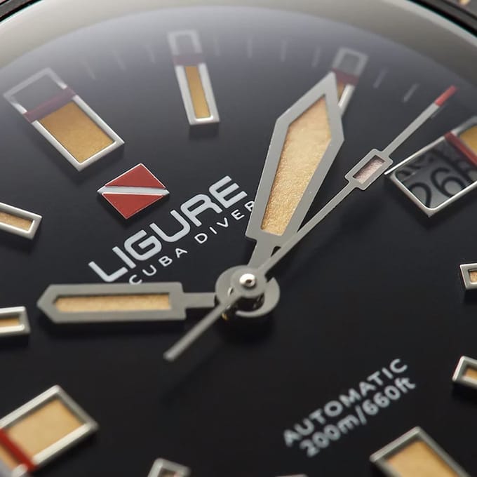 Ligure LWT23008 Tartaruga Horloge