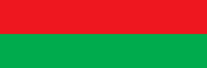Vlag Augsburg 100x150cm