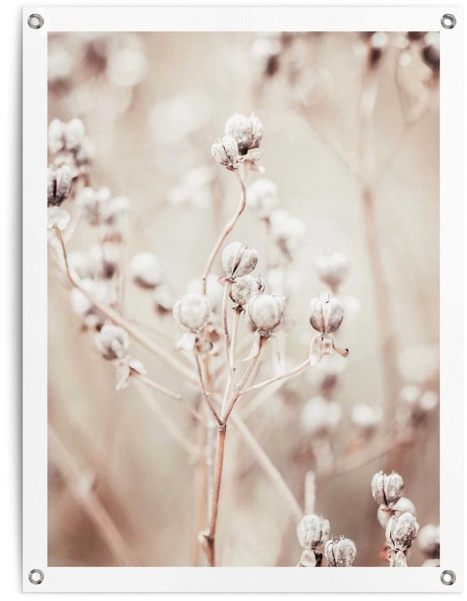 Tuinposter Gedroogde tak - 80 x 60 - Canvas - REINDERS