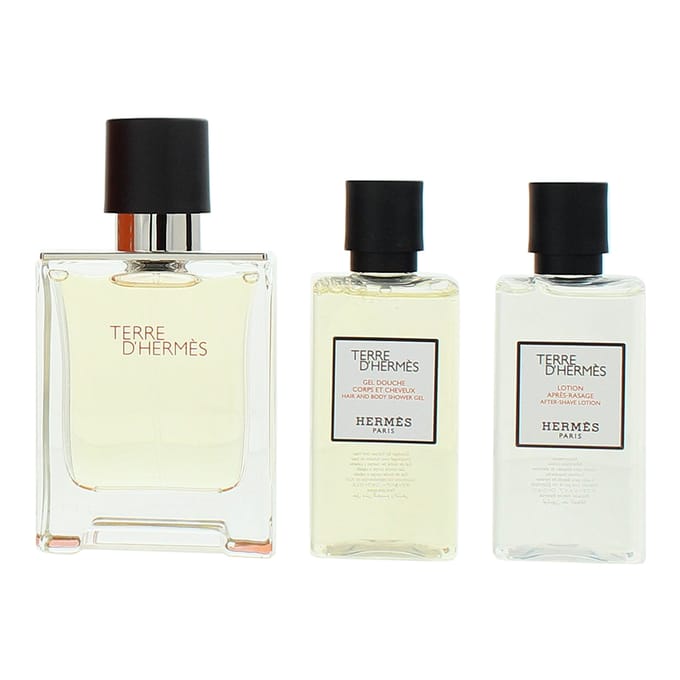 Hermès Terre D'hermes e T 50 Spray Gel40 Ash40