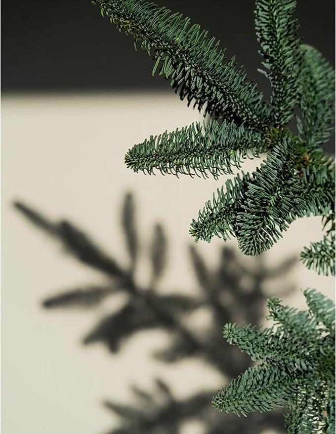 Poster Kersttak Schaduw - 30x40 cm - Kerst Poster - WALLLL