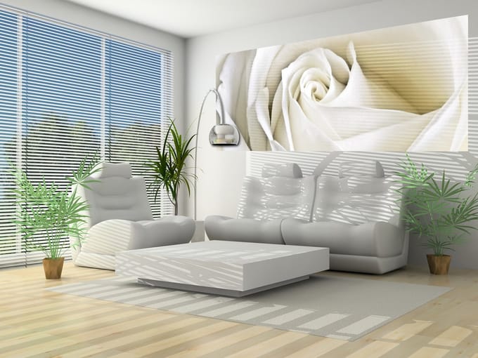 Flowers Rose White Nature Photo Wallcovering