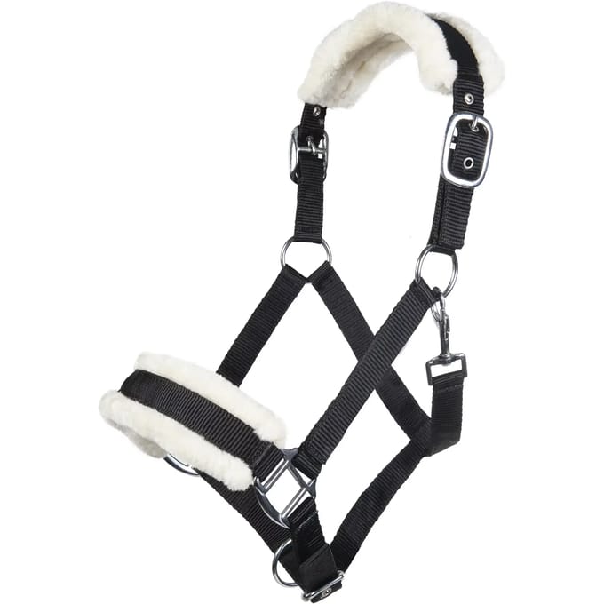 Bont halster voor paard HKM Bischofshofen