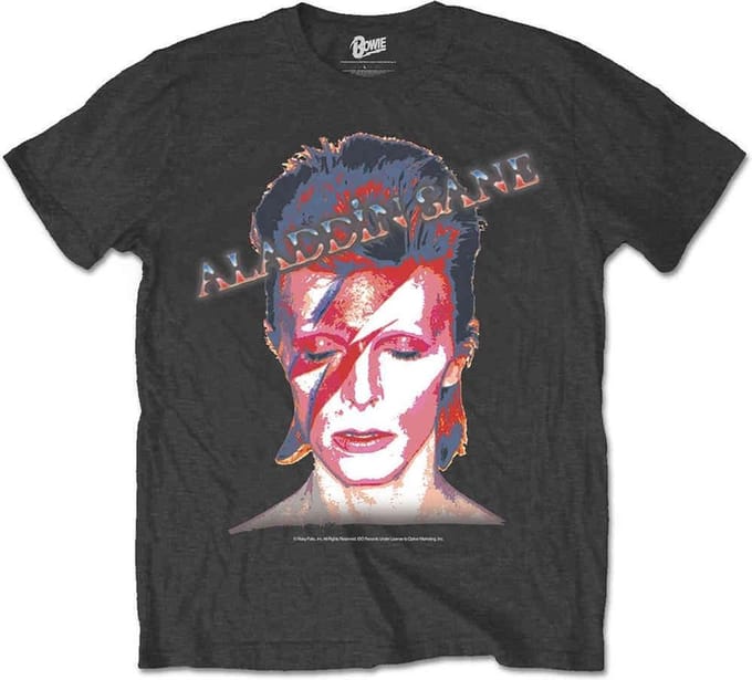 David Bowie - Aladdin Sane Heren T-shirt - XL - Zwart