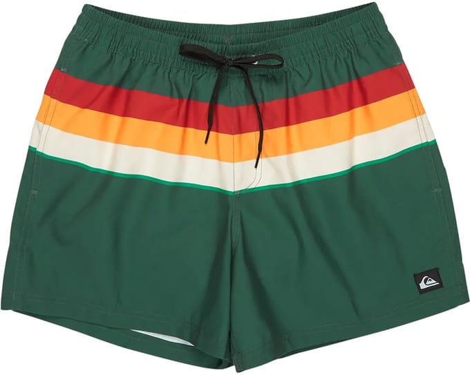 Quiksilver Everyday Printed Volley 15´´ Zwembroek Groen S Man