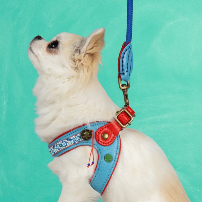 Dutchie Hondentuigje Maat 2 (28,5-30 cm)