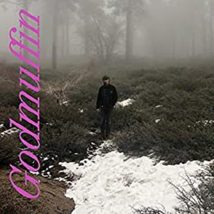 Mike Viola - Godmuffin (LP)