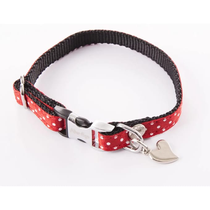 Hondenhalsband met stippen Alter Ego XS