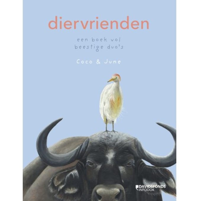Dier Vrienden - Coco & June