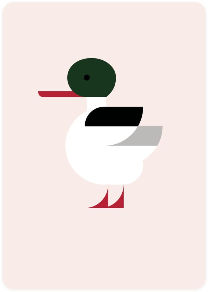 Postcards with Common Merganser - Eendje - Set of 4 postcards