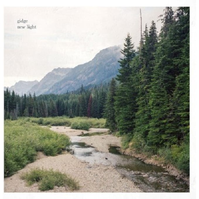 New Light - Gidge