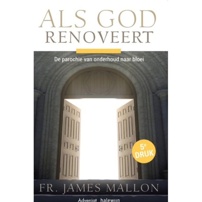 Als God Renoveert - James Mallon