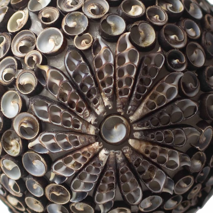 Boho Schelpenlamp - Chocolade Twist Ovaal - 20 cm
