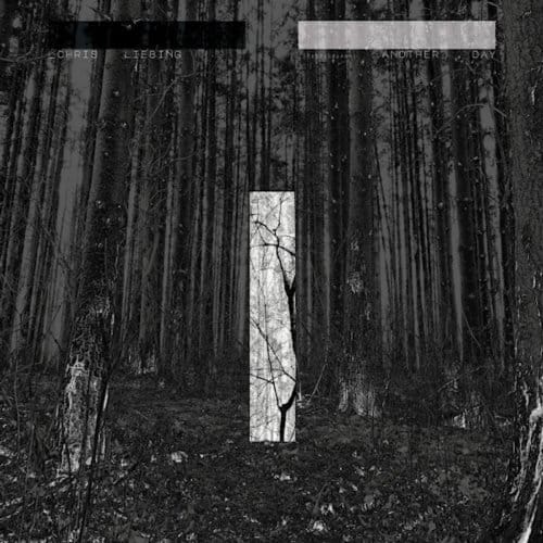 Chris Liebing - Another Day (CD)