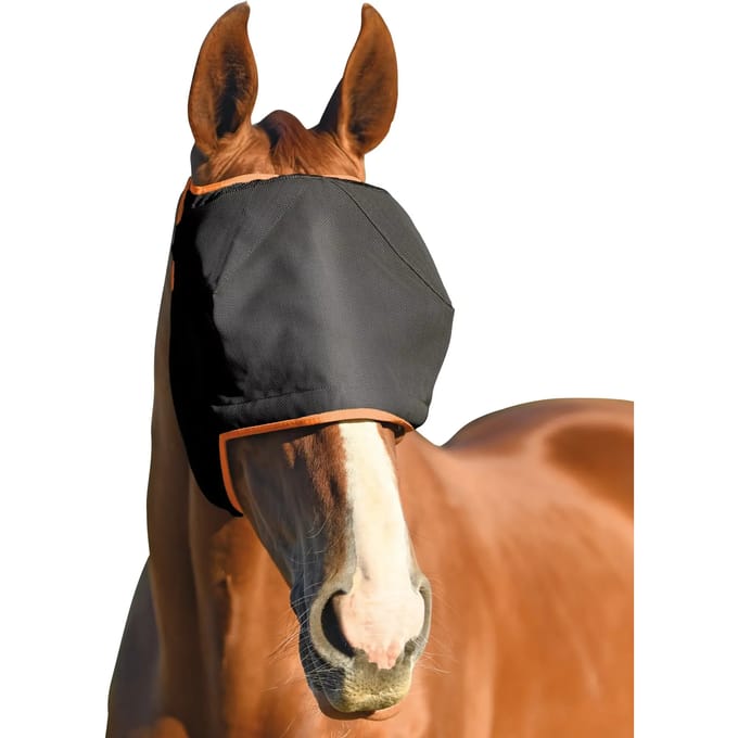 Paardenvliegen hoed Equilibrium Midi