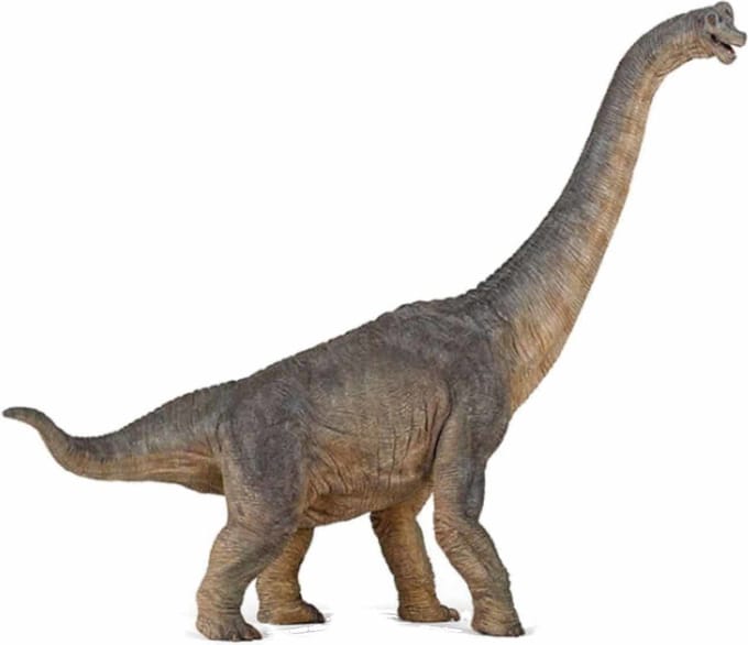 Brachiosaurus - Dinosaurus