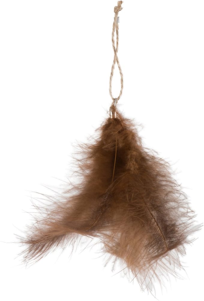 J-Line hanger Pluim - veren - bruin - 12 stuks