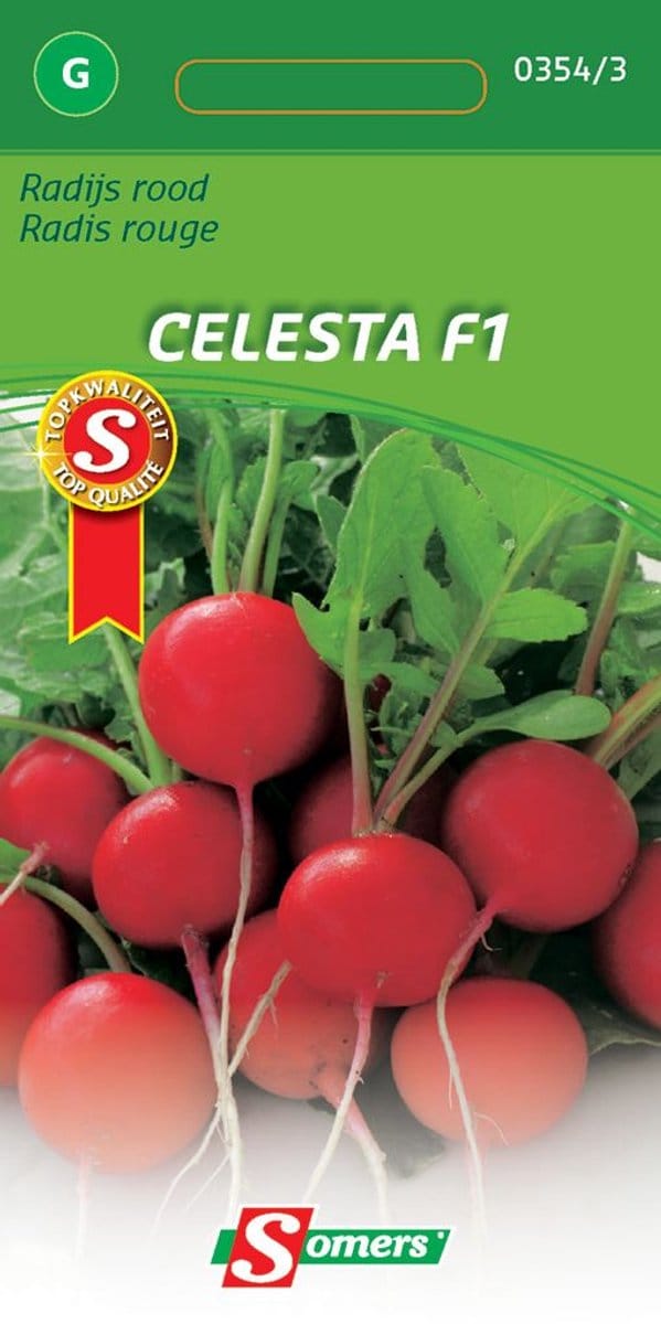 Somers zaden - Radijs rood Celesta F1