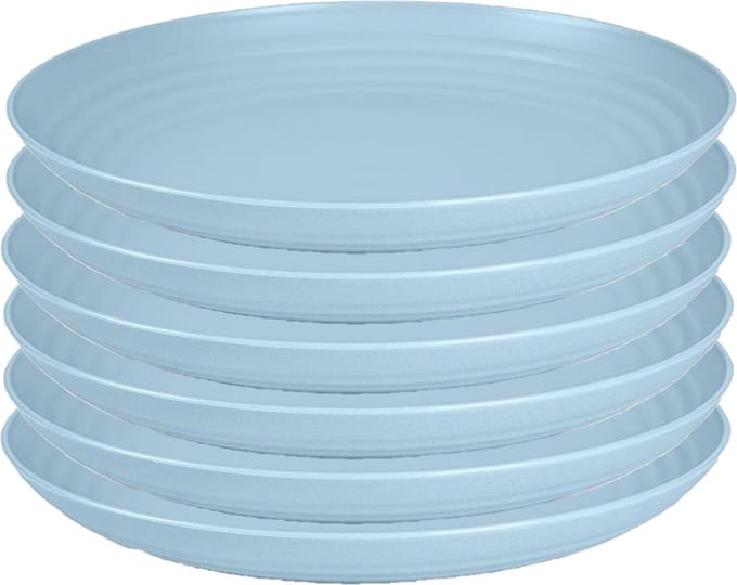PlasticForte Rond bord/camping bord - 6x - D22 cm - ijsblauw - kunststof