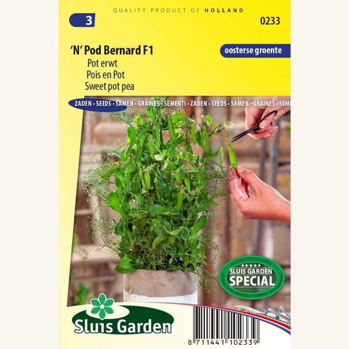 Pot erwt 'N' Pod Bernard F1 – Pisum sativum - Moestuin - bloeit in Juli / Augustus / September