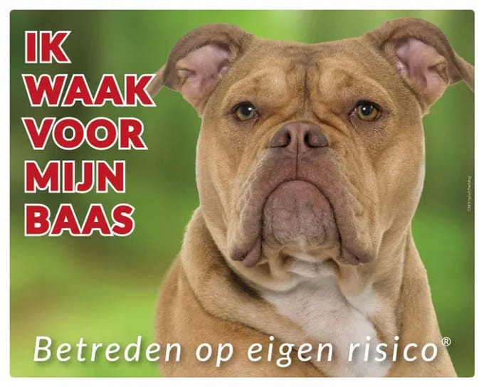 Old English Bulldog Waakbord