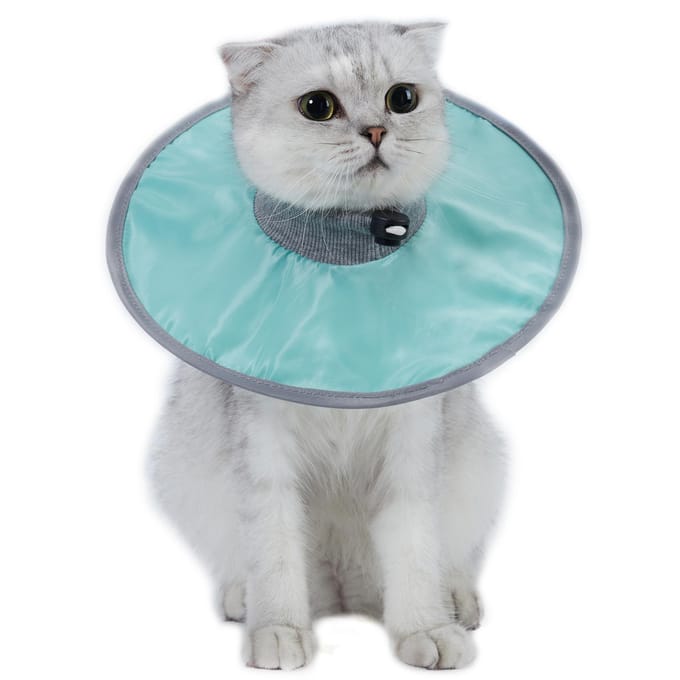 Kattenkegelhalsband Stop Likken Verstelbare Geribbelde Hals Herstelhalsband Medium turquoise