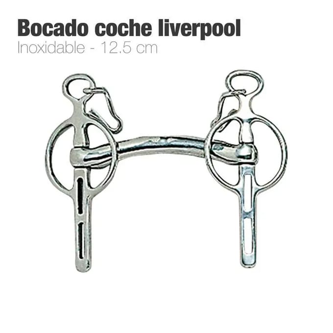 Liverpool bustrens voor paard Zaldi 212551