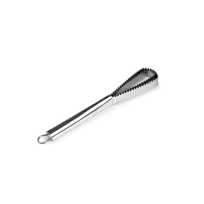 Ibili - 705610 - Brosse À Écailler