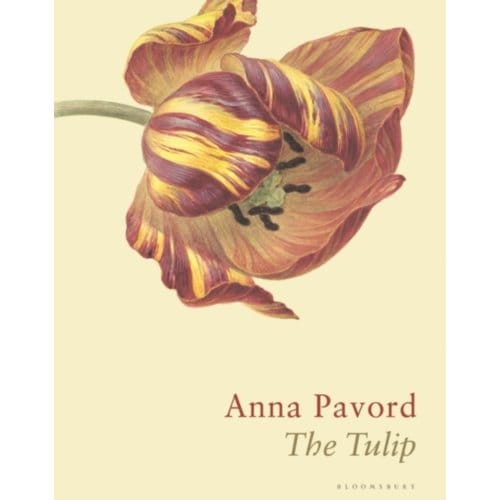 The Tulip - Anna Pavord