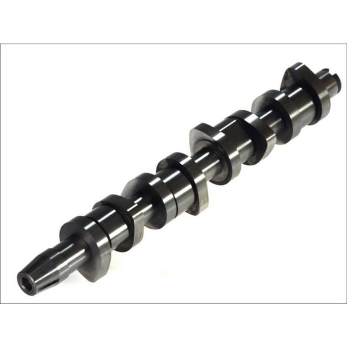 Nokkenas  AE CAM904