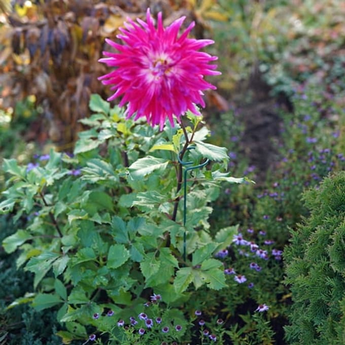 Planta Serie - Plantensteun - 90cm - Groen - Staal