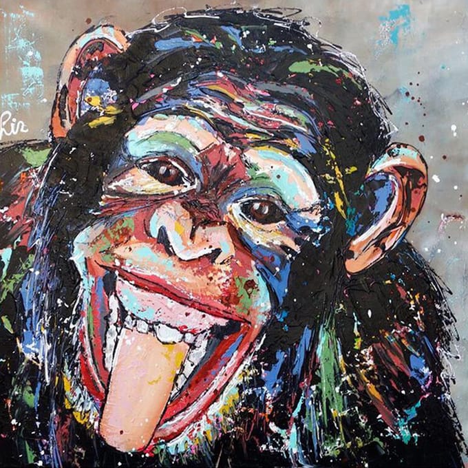Diamond painting 40x50cm - aap colour - ronde steentjes