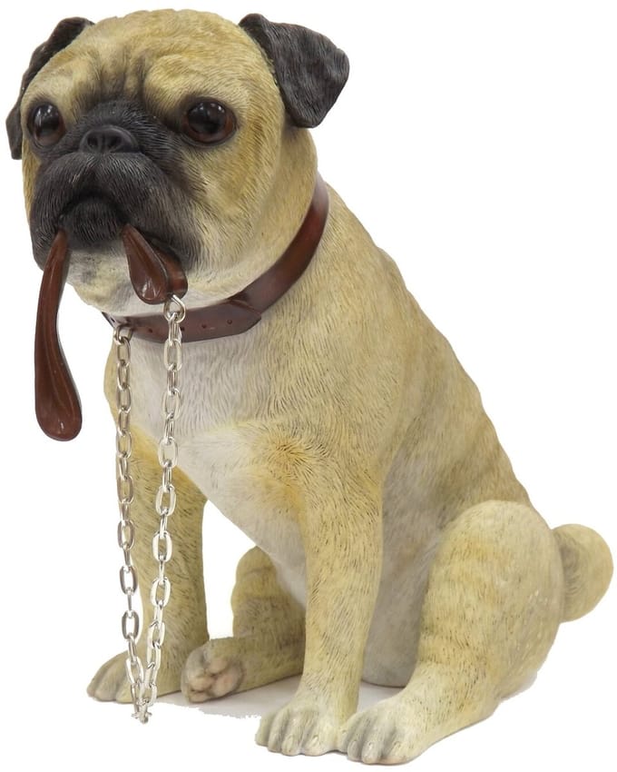 Leonardo Pug