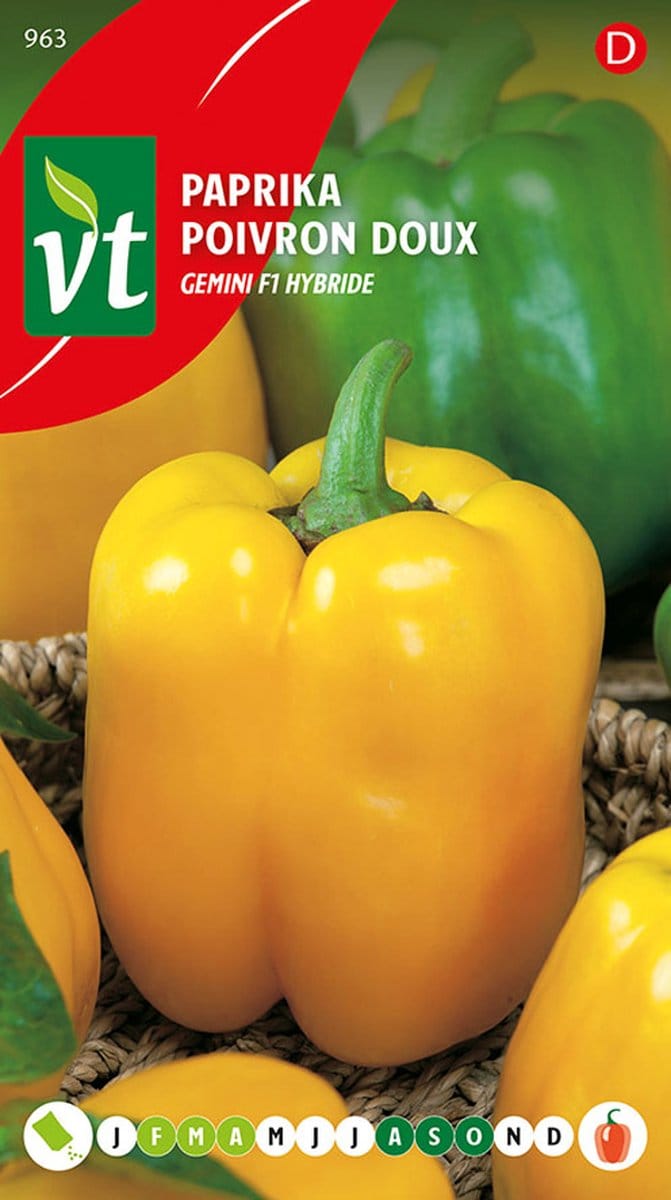 PAPRIKA GOLDENSTAR
