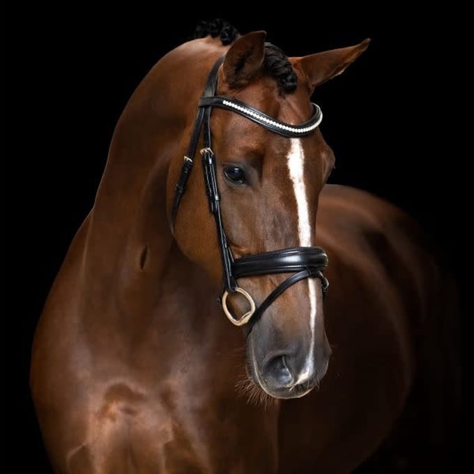 Imperial Riding Hoofdstel simpel gecombineerde neusriem IRH Zwart - Cob