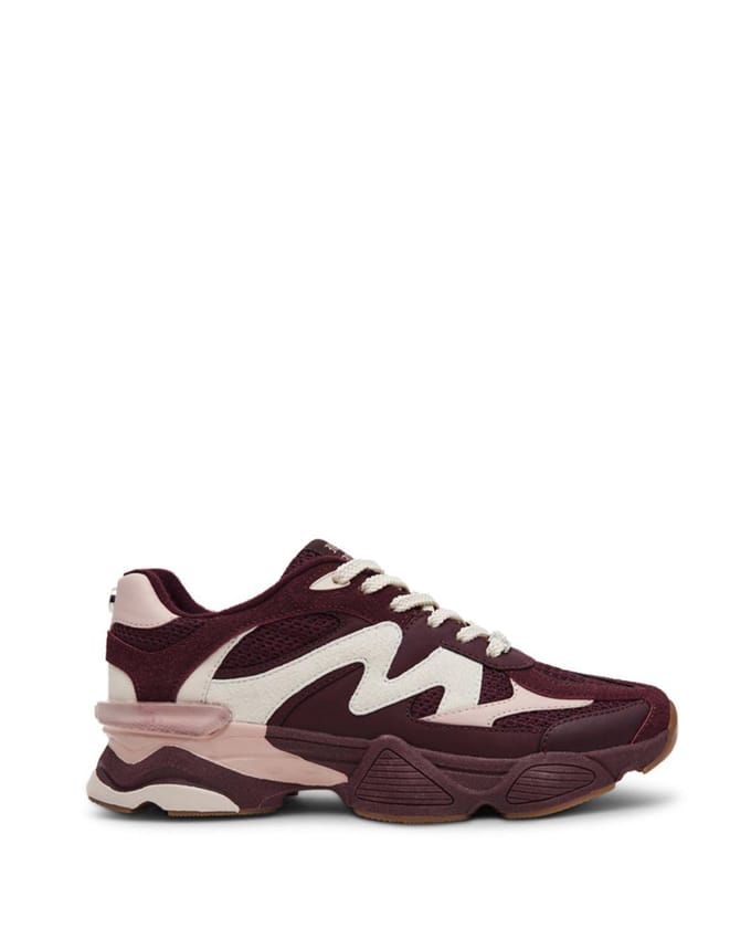 Steve Madden Speeder Sneakers - Dames - Bordeaux - Maat 40