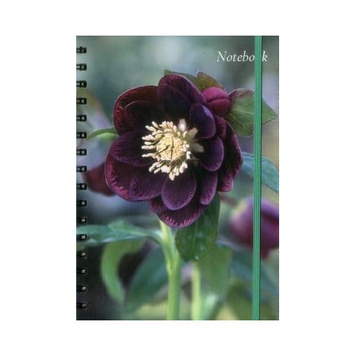 Notebook Hellebore - Peony Press