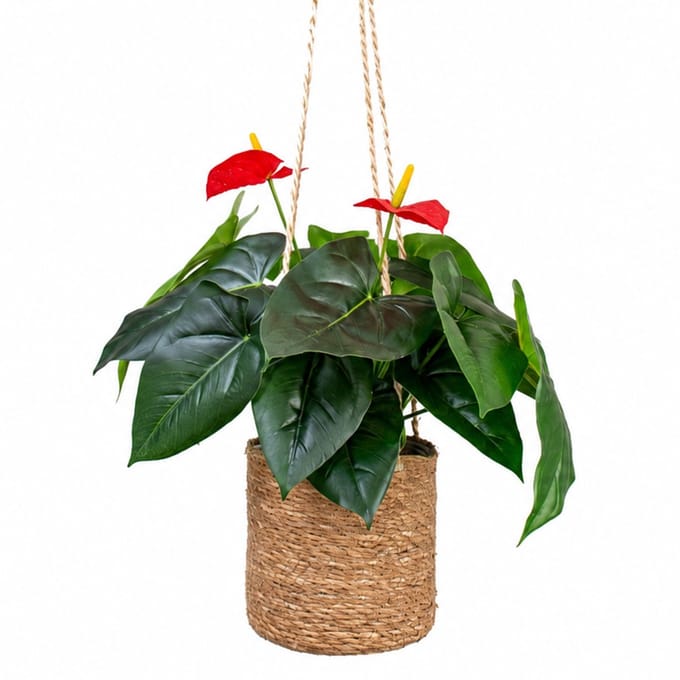 Kunstplant Anthurium in hangmand naturel L100cm