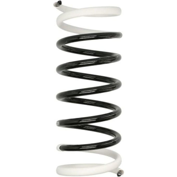 Chassisveer SACHS 996 548