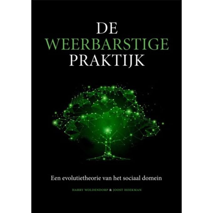 De Weerbarstige Praktijk - Harry Woldendorp