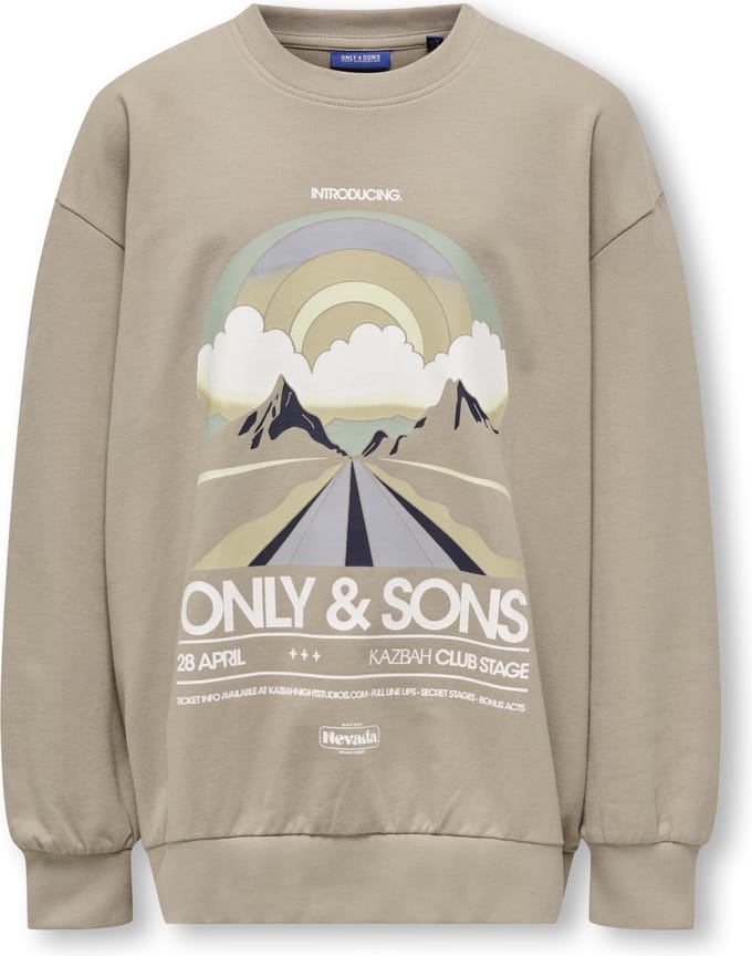 ONLY&SONS - OSJROAD OVZ LS O-NECK UB SWT - Jongens - Sweaters