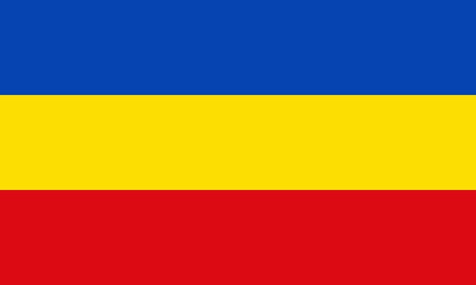 Vlag Delmenhorst 100x150cm