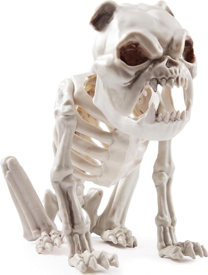 Skelet Hond - Hondenbot Decoratie - Halloween Versiering - Realistisch Ontwerp - 24 cm - Wit